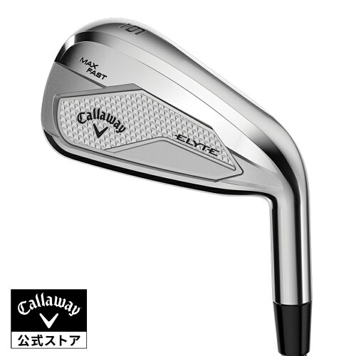ELYTE MAX FAST アイアン