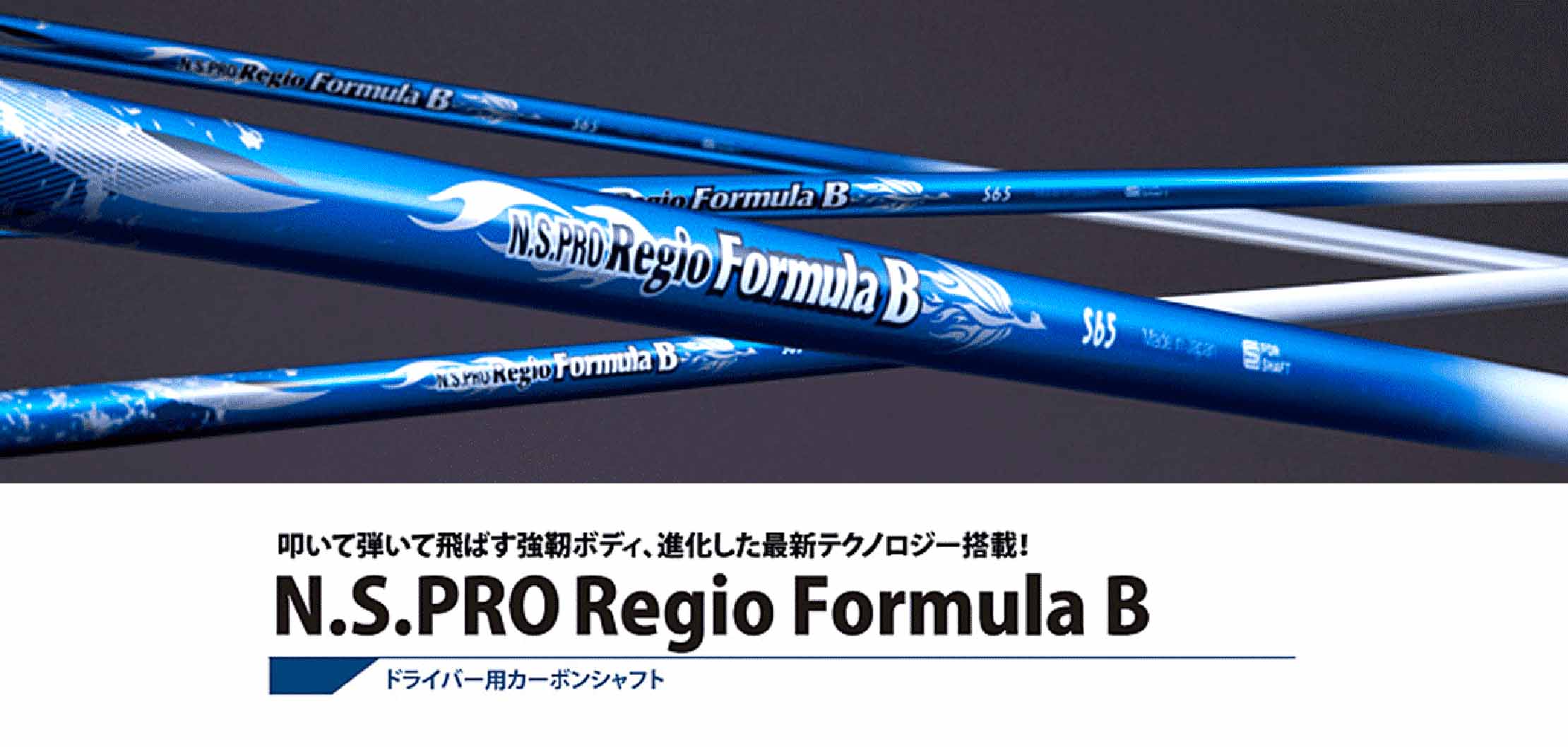 N S PRO REGIO FORMULA B TYPE55