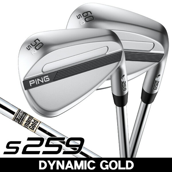 s259 ウェッジ Wグラインド